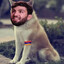 Хачико