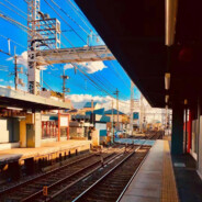 无为而学 道法自然