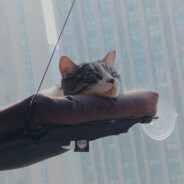 压力我的人唧唧变短10cm