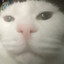 GM_PLAYERS