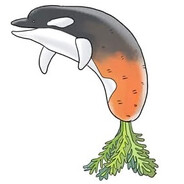 m-OrKa