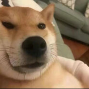 寻找心中的那片海