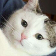 bob