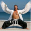 Steven Seagull