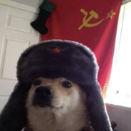 Perro Sovietico