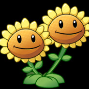 你知道向日葵的花语吗