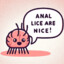 Anal Lice