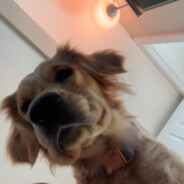 Poochie P