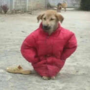 隔壁村的小王子