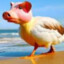 DuckPIg