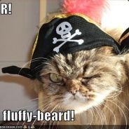 Cap'n Spanky - steam id 76561197960444757