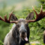 wilma.hallgren