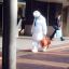 Polar Bear Going to Work