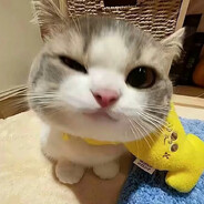 苦寻成都富婆姐姐