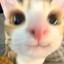 myu