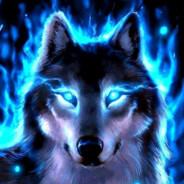 ∆° Tierschutz °∆