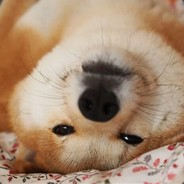 心中无女人拔刀自然神