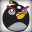 Black Bird