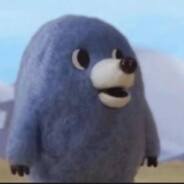 其实我也没有上过学