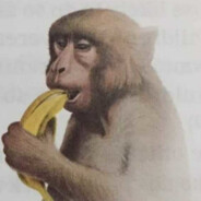 Akuzayin