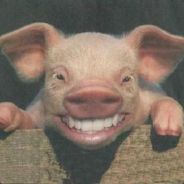 GS|Cdechancho [ ARG ]