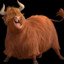 The Angus