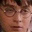 Harry Pothead