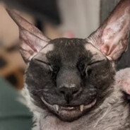 никита сетка