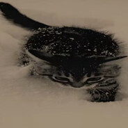 𝐥𝐢𝐭𝐭𝐥𝐞_𝐜