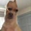 you looking at me?