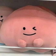 今天也要好好睡觉