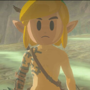 海拉鲁威风凛凛の骑士