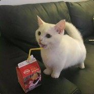 Big Avatar