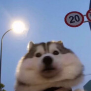 O-G