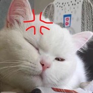 󠀡󠀡󠀡󠀡  󠀡