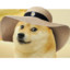Dogwithhat