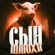 qp - steam id 76561199099850238