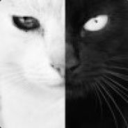 我的至宝不见了