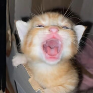evilkitty131