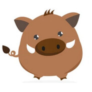 [HW] Boar