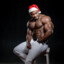 big d*ck santa