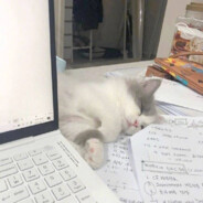 咕噜咕噜吐泡泡