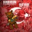 Vİrgin Bear