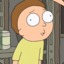 The One True Morty