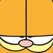 Lasagna Cat