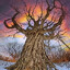 Rooted Krown
