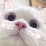 生活终不是电影