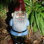 evil gnome