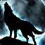 Wolvez23