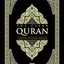 the 30 chapters of quran